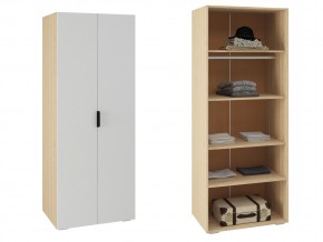 ШК-800 Шкаф с 2 дв в Пыть-Яхе - pyt-yah.magazin-mebel74.ru | фото