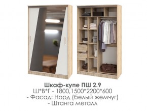 шкаф-купе ПШ-2.9 1500 Норд Белый жемчуг 1500 в Пыть-Яхе - pyt-yah.magazin-mebel74.ru | фото