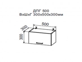 Шкаф верхний ДПГ500 горизонтальный в Пыть-Яхе - pyt-yah.magazin-mebel74.ru | фото