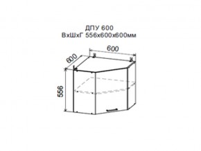 Шкаф верхний ДПУ600 угловой в Пыть-Яхе - pyt-yah.magazin-mebel74.ru | фото